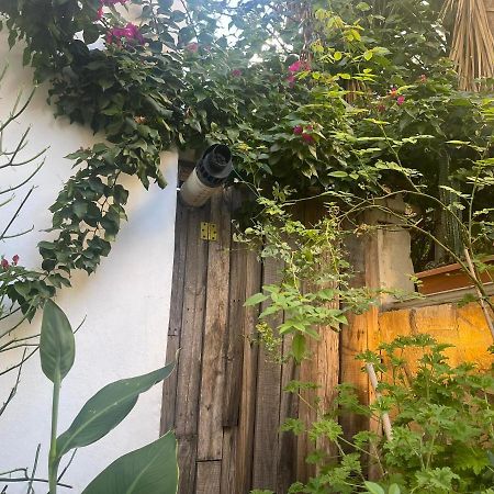 Eleonora'S Hidden Gem Apartment Athens Exterior photo