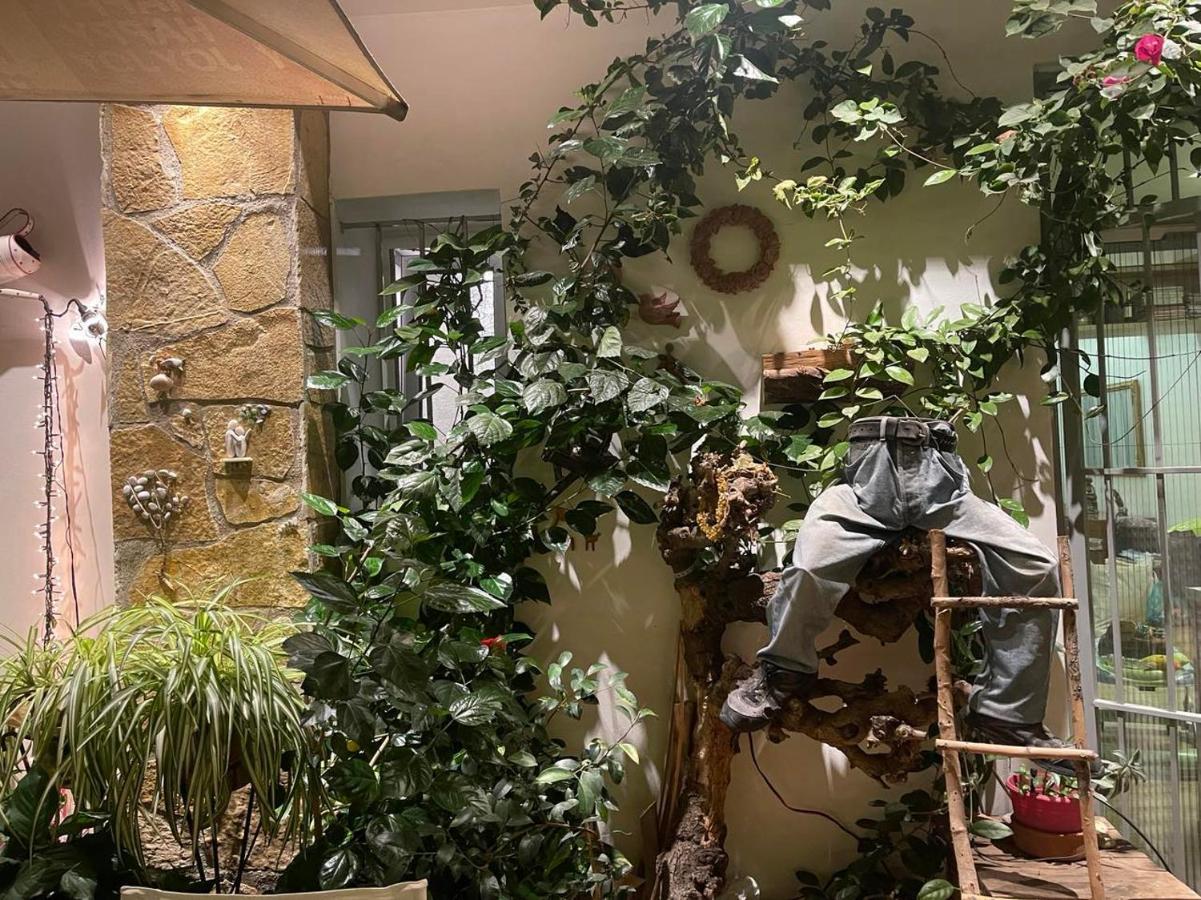 Eleonora'S Hidden Gem Apartment Athens Exterior photo