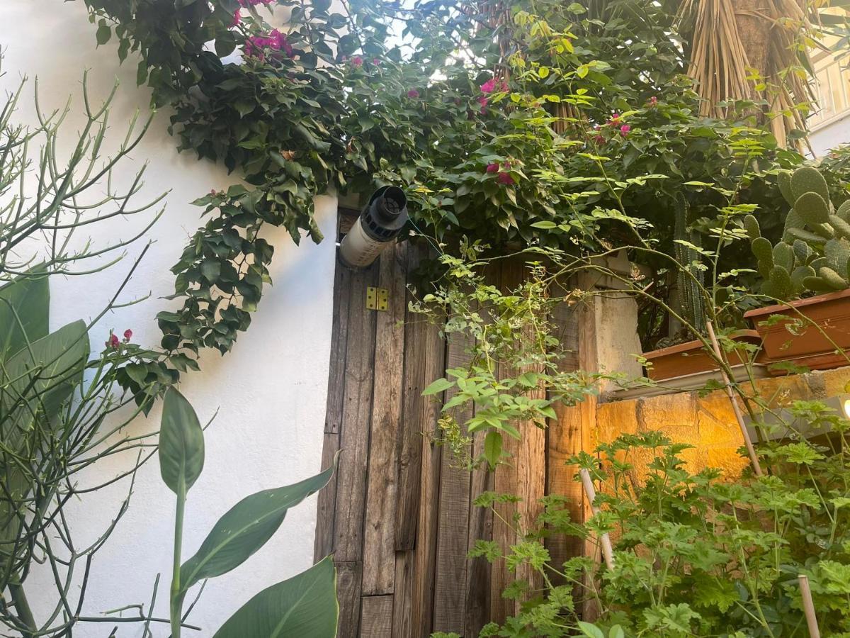 Eleonora'S Hidden Gem Apartment Athens Exterior photo
