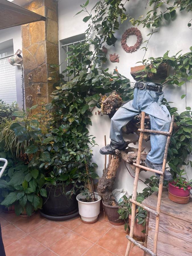 Eleonora'S Hidden Gem Apartment Athens Exterior photo